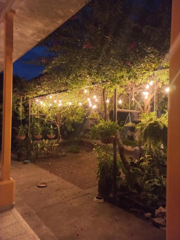 Casa de Luna - B&B La Dorada