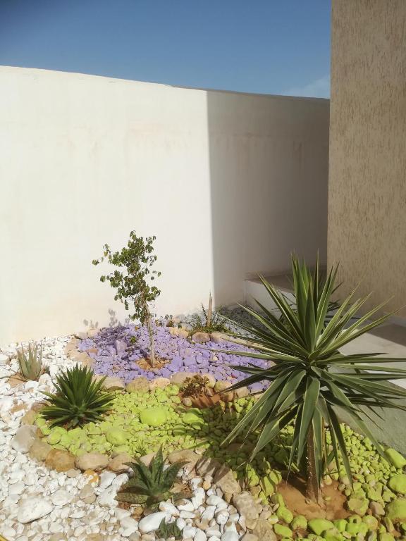 Belle Villa Proche Marina - Bed and Breakfast Houmt Souk