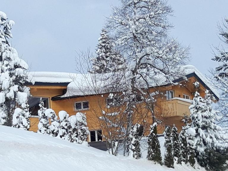 Ferienwohnung Riezler - B&B Hirschegg