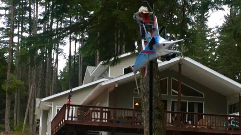 Biker's Bungalow - Near Mendenhall Glacier and Auke Bay Offering DISCOUNT ON TOURS! - Bed and Breakfast Mendenhaven