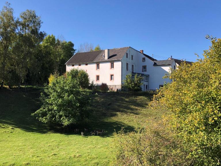 Ferienhaus Rehblick - B&B Rockeskyll