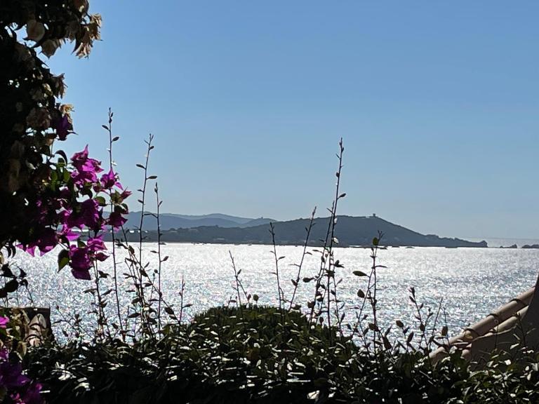Villa Bougainville - B&B Porticcio