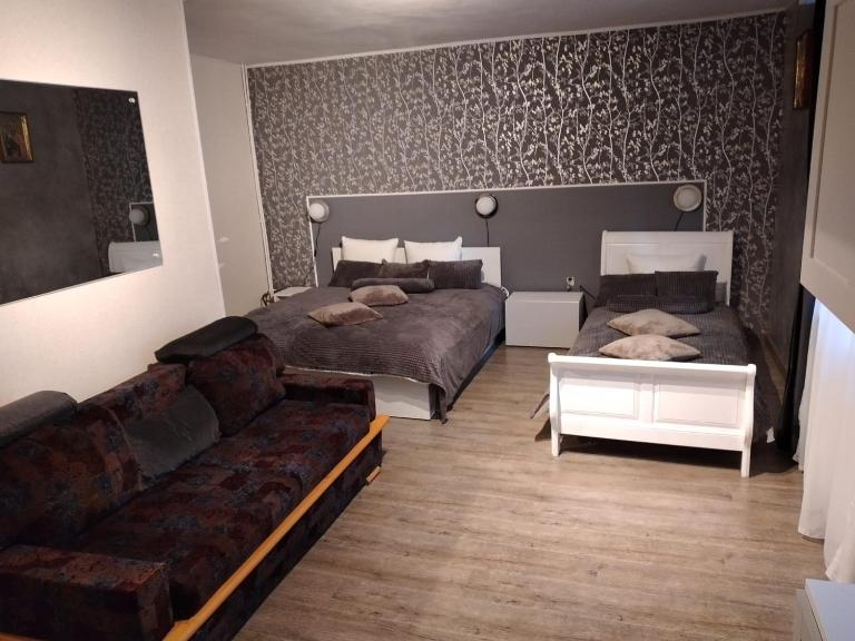 Vila TANIA - Bed and Breakfast Predeal