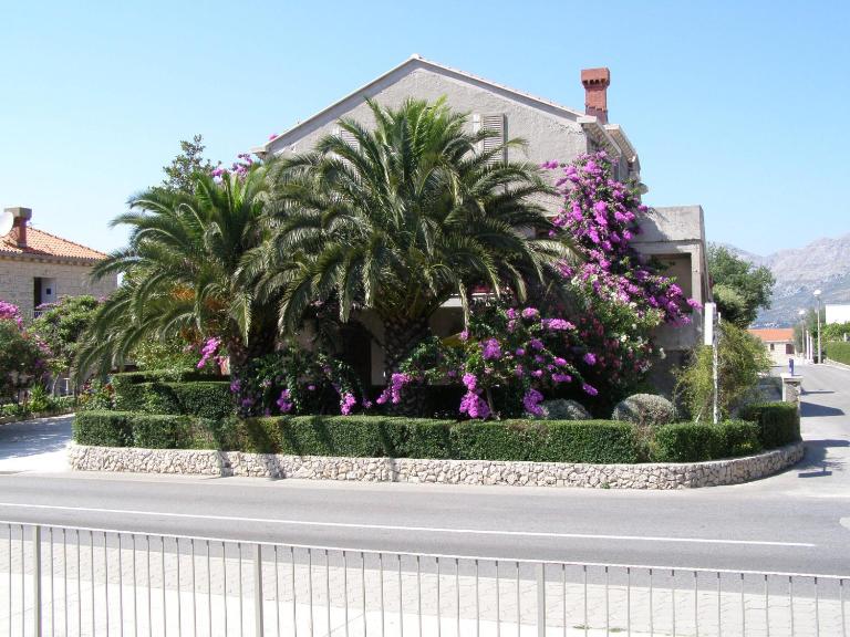 Guesthouse Klečak - B&B Cavtat