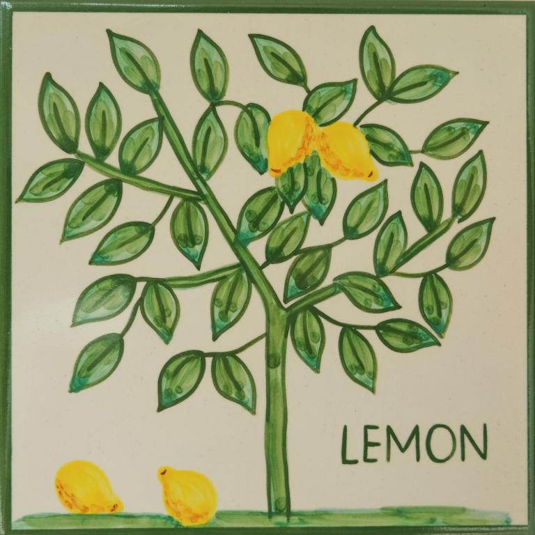 Casa Monte Cristo Apartments - Lemon - B&B Lagos