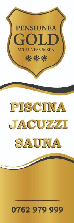 Pensiunea GOLD Wellness&Spa - B&B Chişcău