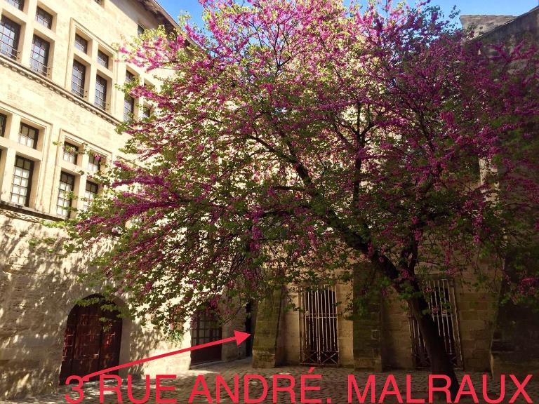 appartement a 50 m de la place aux herbes - B&B Uzès