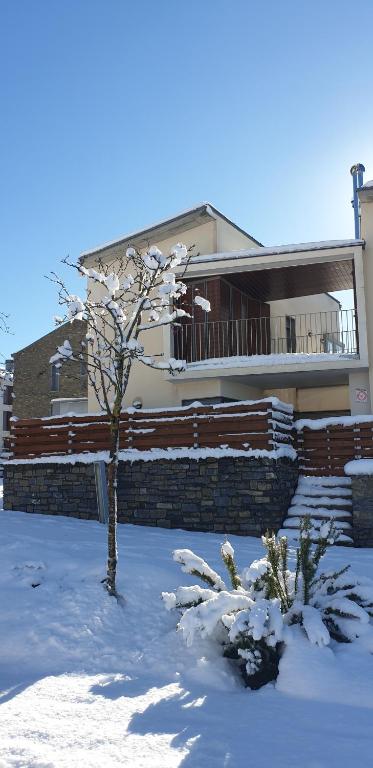 Chalet adosado entero, bbq y piscina comunitaria - B&B Sabiñánigo