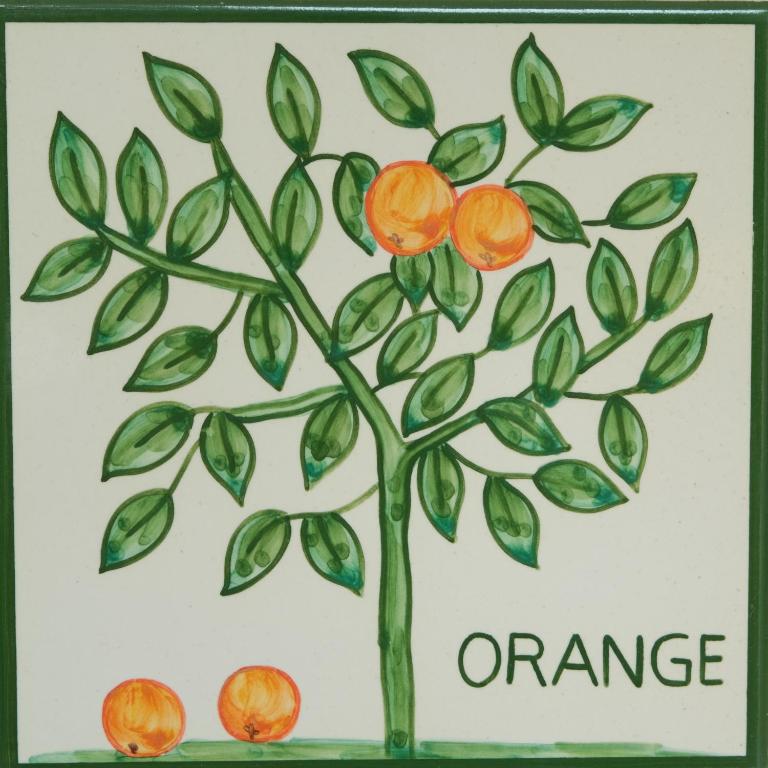 Casa Monte Cristo Apartments - Orange - B&B Lagos