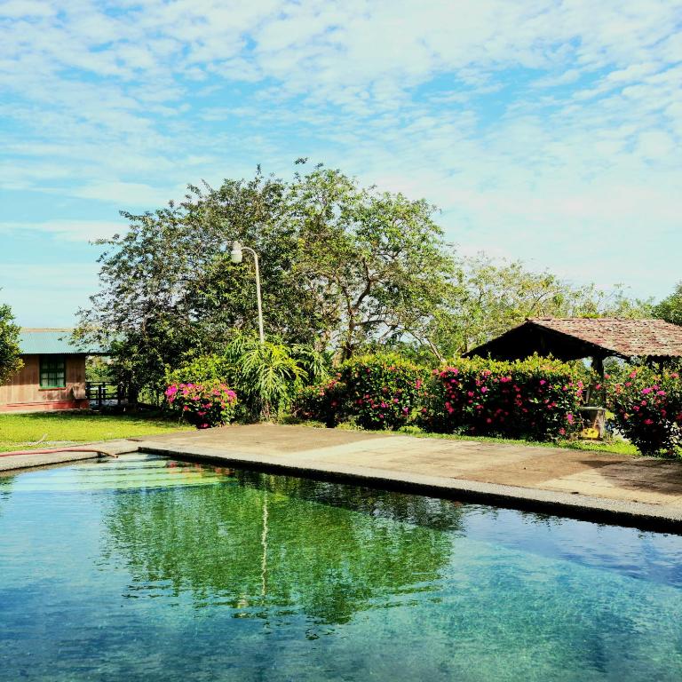 Los Gallitos Eco Lodge - Bed and Breakfast San Miguel