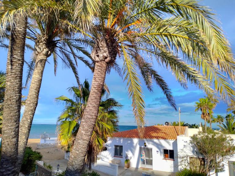 Villa at seafront with private garden-655 - Chambres d'hôtes Denia