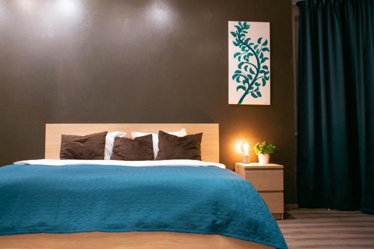 Brassy apartment - B&B Riga