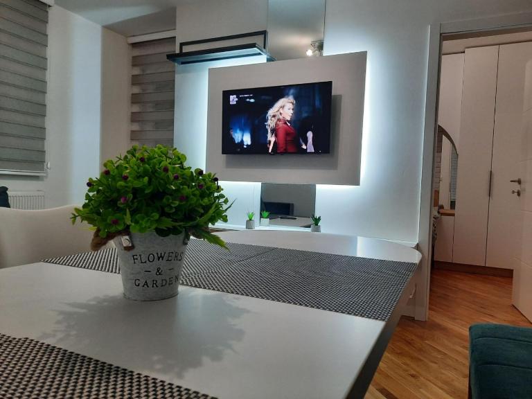 Apartman Matija - B&B Pale
