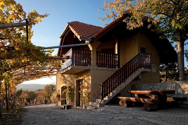 Vineyard Cottage Brodaric - Bed and Breakfast Metlika