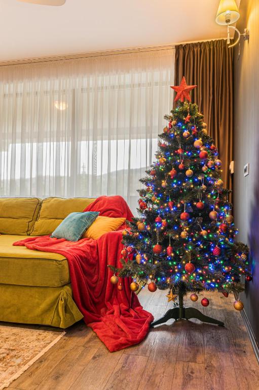 MAIO Studio Silver Mountain Poiana Brasov - B&B Poiana Brasov