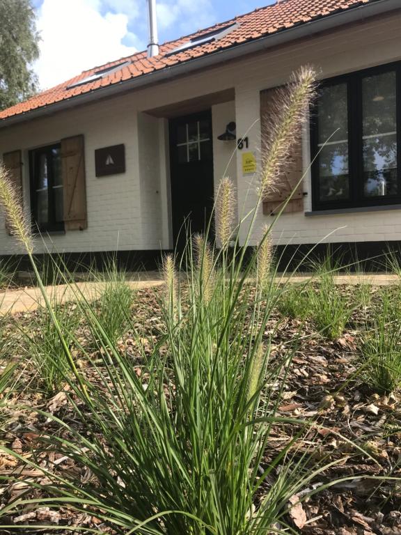La maison du pêcheur Koksijde - B&B Koksijde