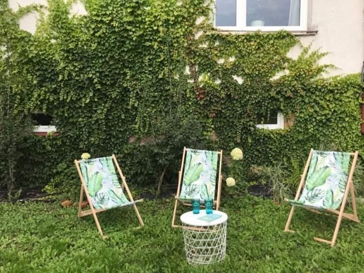 Zielony Domek - B&B Dwikozy