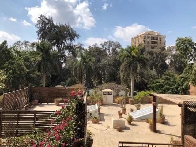 Lovely gorgeous apartment among green Maadi - Chambres d'hôtes Le Caire