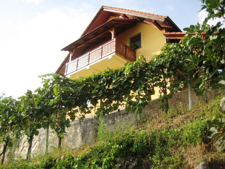 Vineyard Cottage Ucman - B&B Otočec