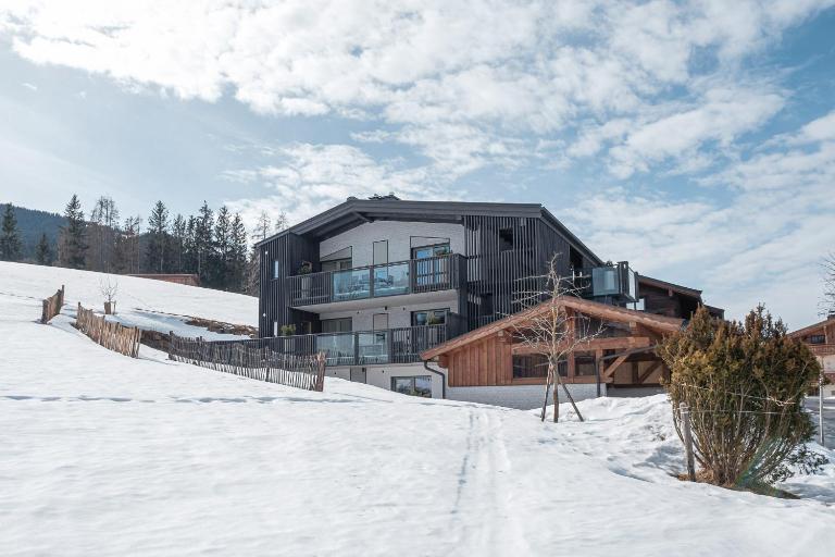 APART HERZOG - URBAN LUXURY LIFESTYLE direct at Steinbergpiste and Steinbergbahn - B&B Leogang