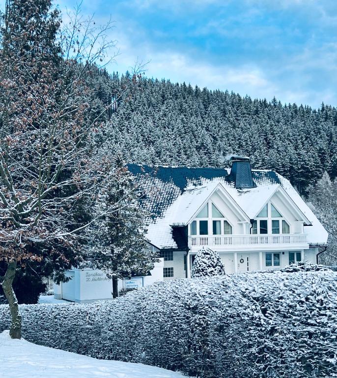 Landhaus Mühlenberg - Chambres d'hôtes Willingen
