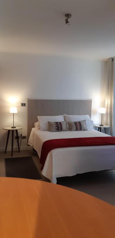 Departamento Comuna Providencia, cercano metro Los Leones y Pedro de Valdivia - Ferienwohnung Santiago