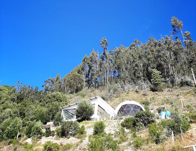 Glamping NIDO VERDE - B&B Iza