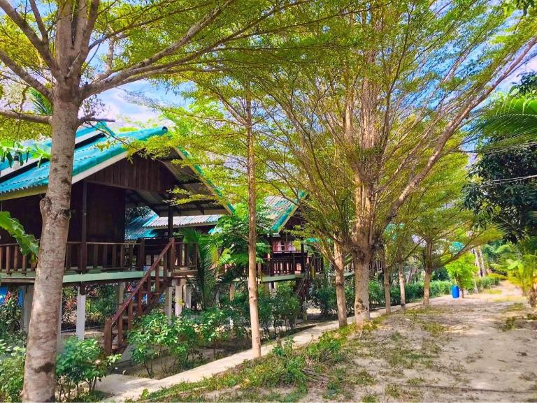 Rasta House,,Koh Phayam - B&B Ko Phayam