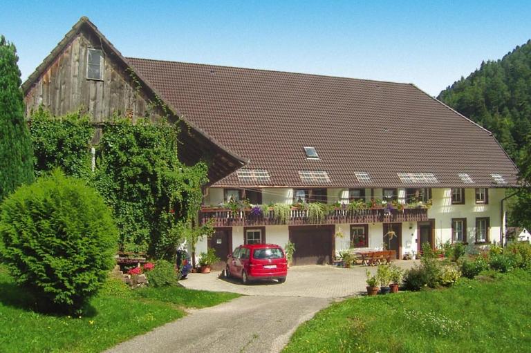 Holiday Home in Hornberg near Triberg Falls - B&B Niederwasser