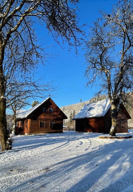 Dwie Lipy Domy Wakacyjne - B&B Złatna