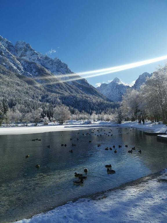 Kranjska Gora Family Break - Ferienwohnung Kranjska Gora