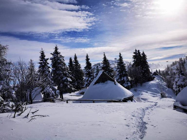 Chalet Resa - Velika planina - B&B Stahovica