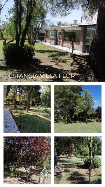 ESTANCIA VILLA FLOR - CASA DE CAMPO- - B&B San Rafael
