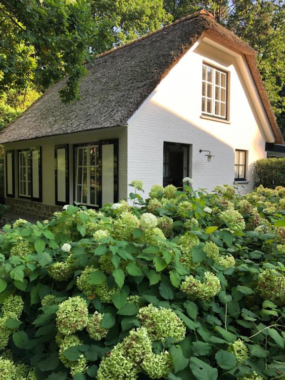 Schilde Cottage - Ferienwohnung Schilde