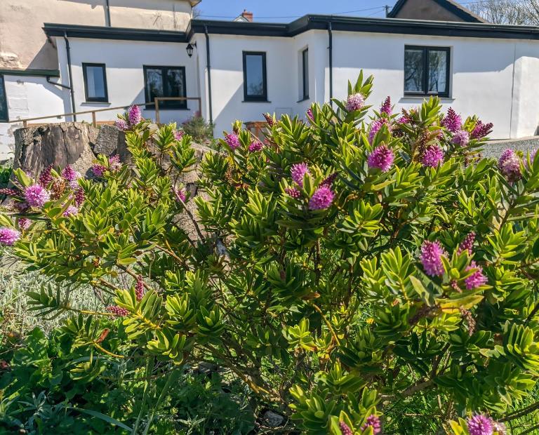 Darracott Farm Cottage - B&B Welcombe
