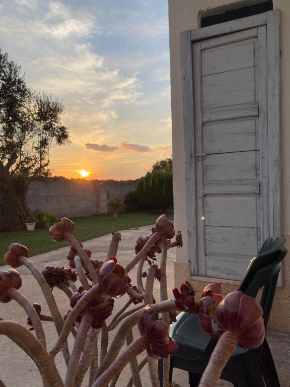 Coco' Country House Lecce - Bed and Breakfast Lecce