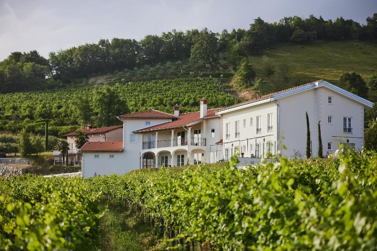 Peterc Vineyard Estate - Bed and Breakfast Kojsko