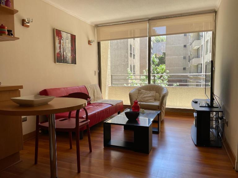 Barrio Lastarria, Excelentes Apartamentos - Sofia Camilla Propiedades - Chambres d'hôtes Santiago