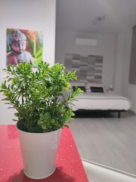 Apartamento Madrid Norte - Chambres d'hôtes Madrid