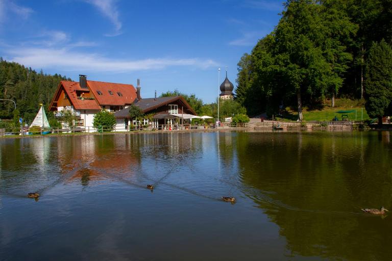 Self-check-in Ferienwohnungen & Apartments am Bergsee - Chambres d'hôtes Triberg