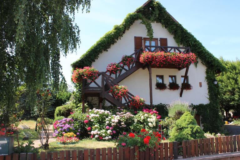 Apartment Route du Vin Centre Alsace - B&B Orschwiller