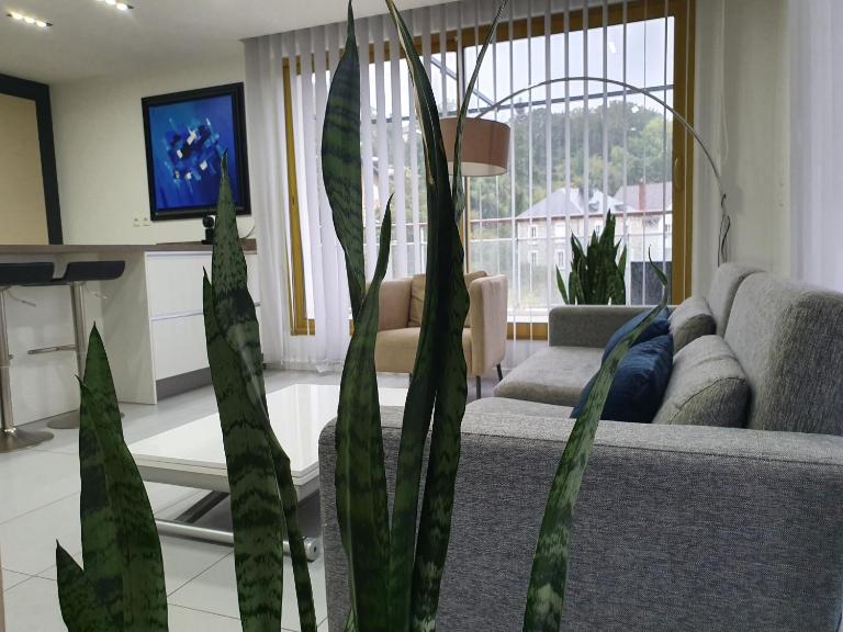Appart'Hôtel Luxapparts - B&B Besanzón