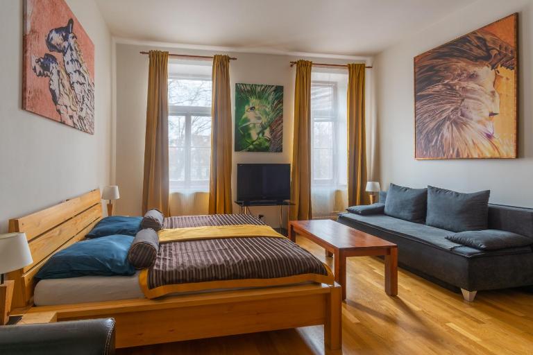 Apartment Sirius D in center of CB. - B&B České Budějovice
