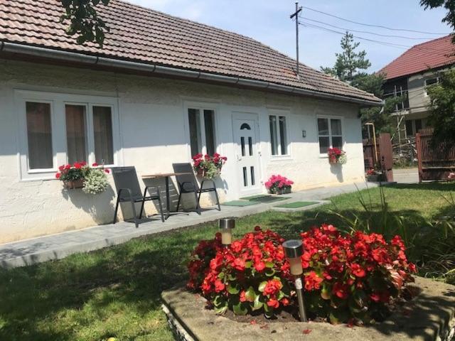 Casuta Sanatatii - B&B Covasna