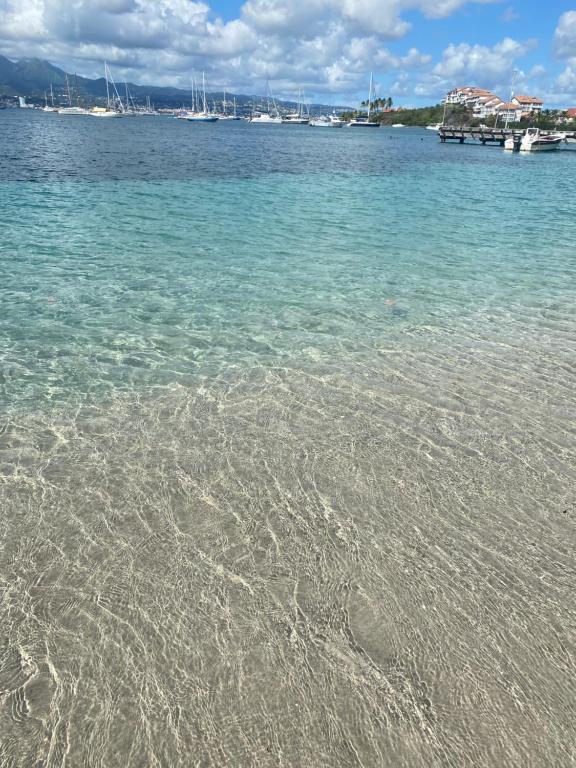 Chez Hugo, bel appartement très bien situé pour visiter la Martinique en journée et dormir la nuit - B&B Les Trois-Îlets