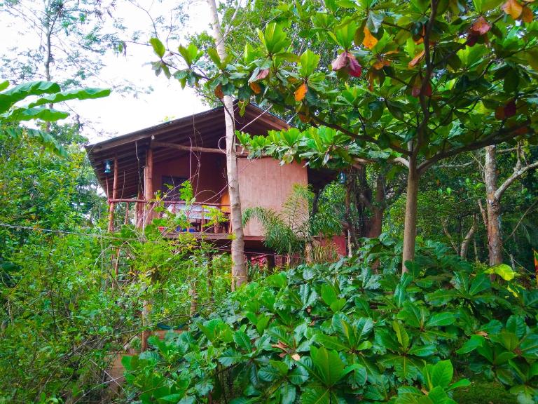 Akash Treehouse - Bed and Breakfast Sigiriya