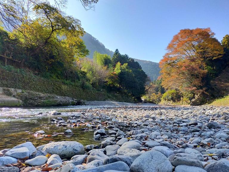 Otsu Nature Garden - B&B Akiruno