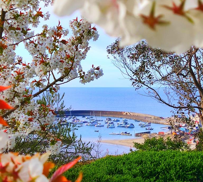 Seabreeze - B&B Lyme Regis