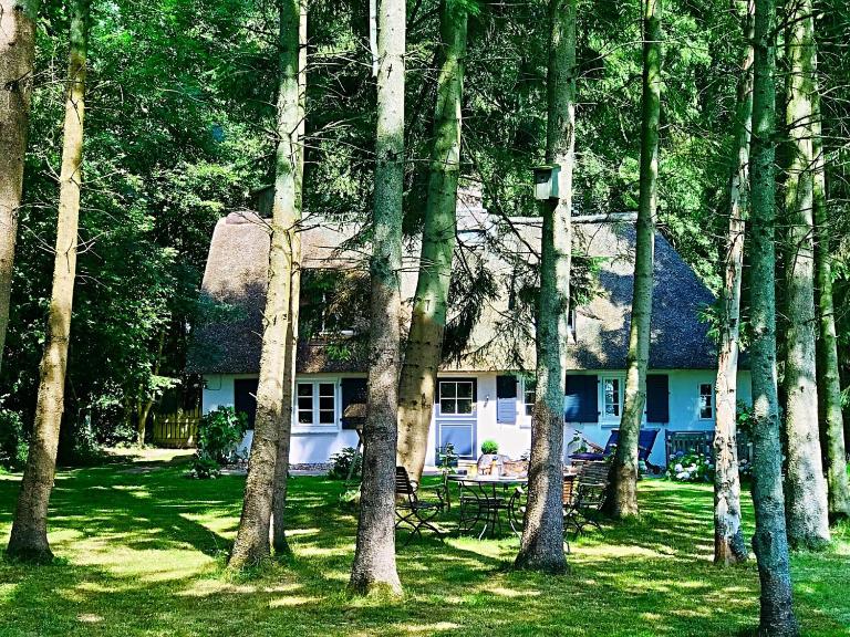 Küstenwäldchen - B&B Rabenkirchen-Faulück