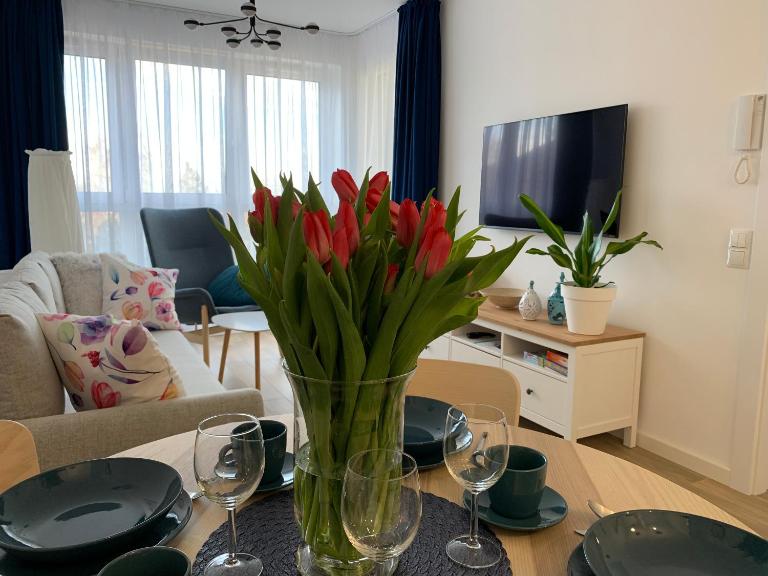 Apartamenty Bliska 33 - B&B Bielsko-Biała
